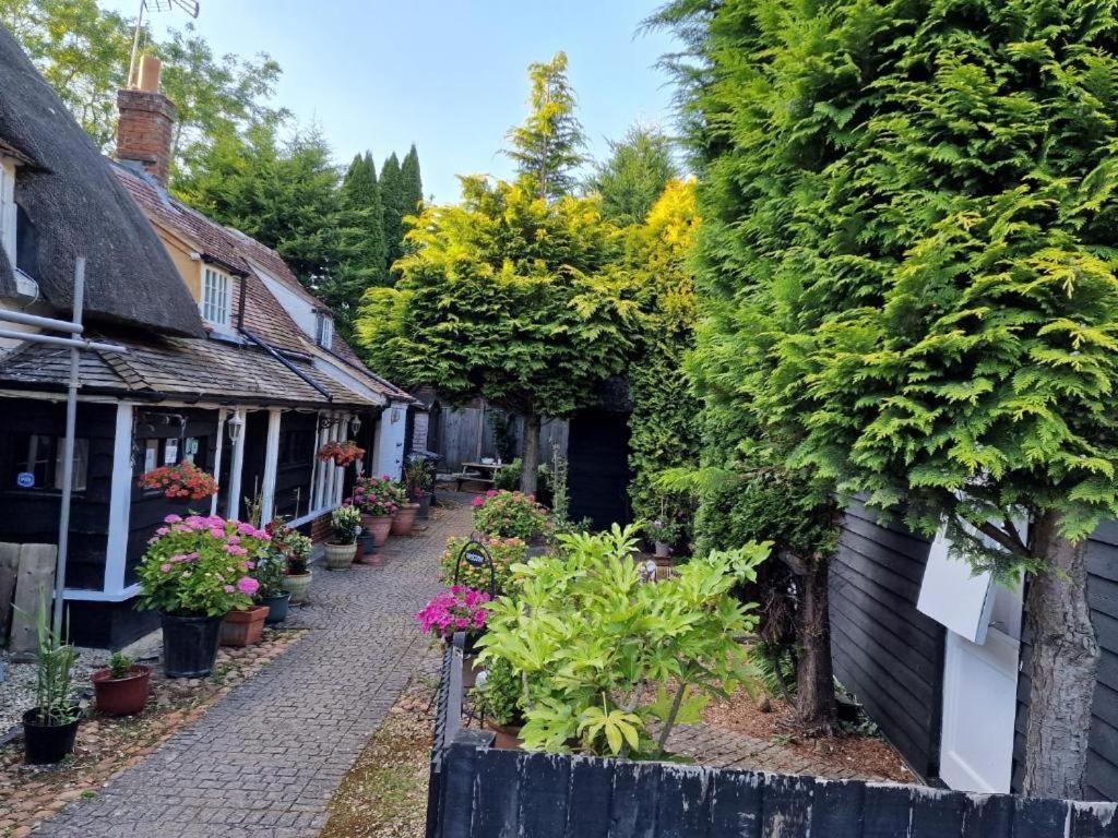 Bed and Breakfast Abingplough House Abingdon-on-Thames Екстер'єр фото